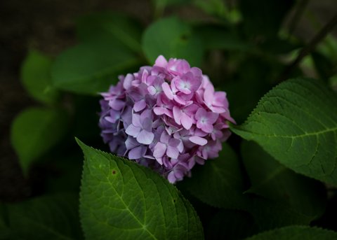 2020-07-25T23_31_05.163010