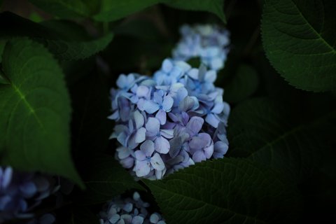 2020-07-25T23_31_44.783004